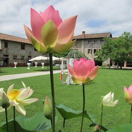 Agriturismo Il Vagabondo Buttrio Extérieur photo
