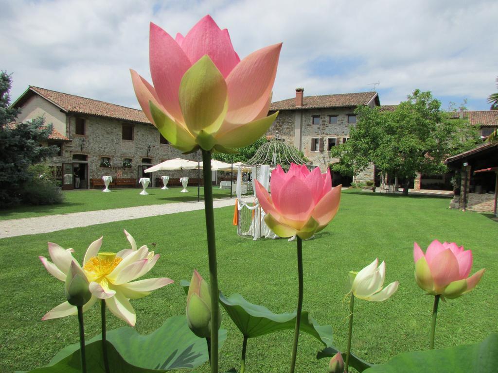 Agriturismo Il Vagabondo Buttrio Extérieur photo